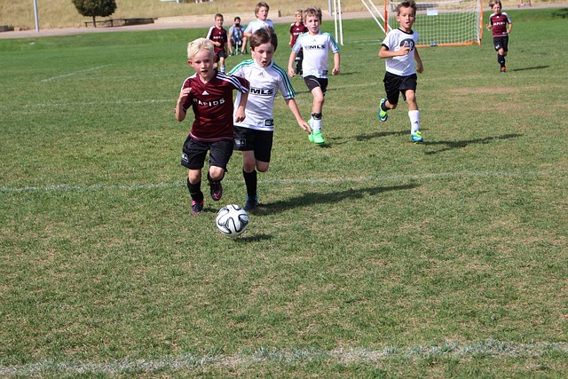 经营节奏 经营节奏