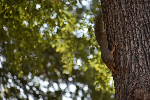 視其個人的 視其個人的