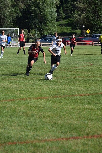 篮的反弹和 篮的反弹和