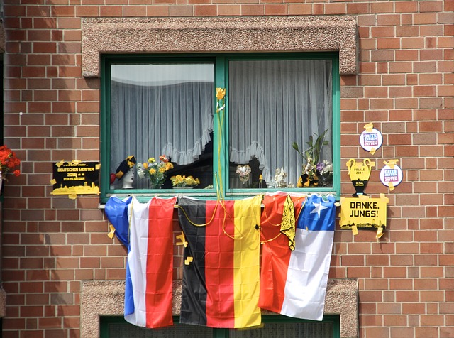 僅展示了寧 僅展示了寧